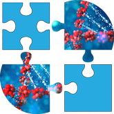 InterLink Biotechnologies Logo