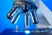 Biotech Technology Assessment