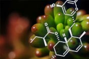 Natural Products